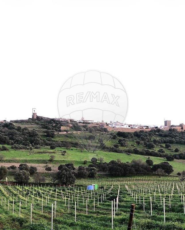 Herdade T0 - Monsaraz, Reguengos de Monsaraz, Évora