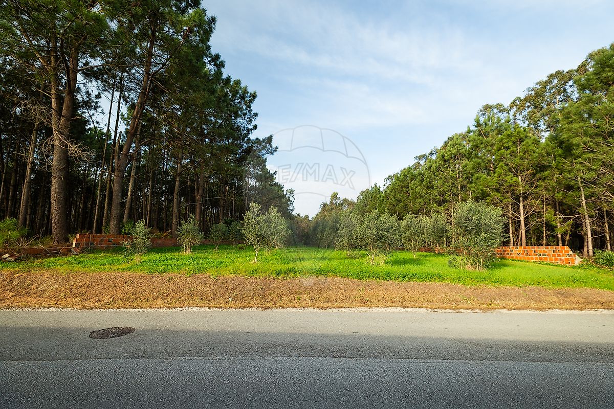 Land for sale in Pombal, Portugal — €204,000