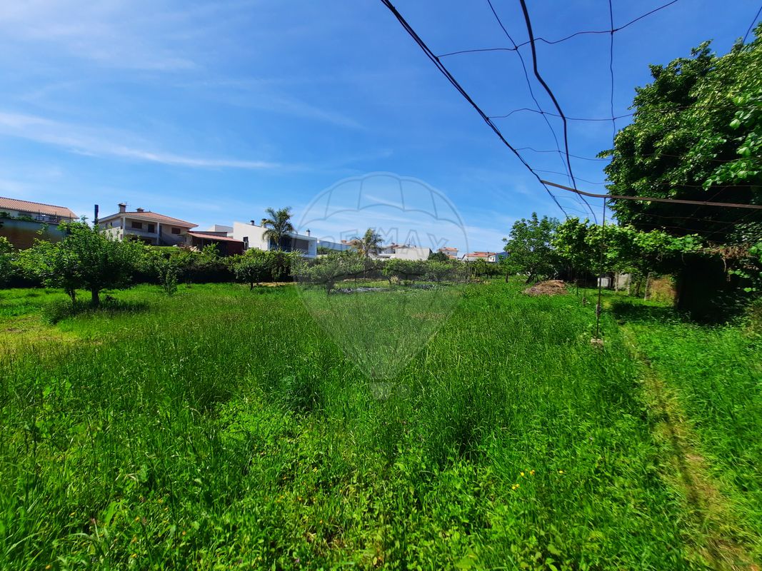 Terreno  para venda