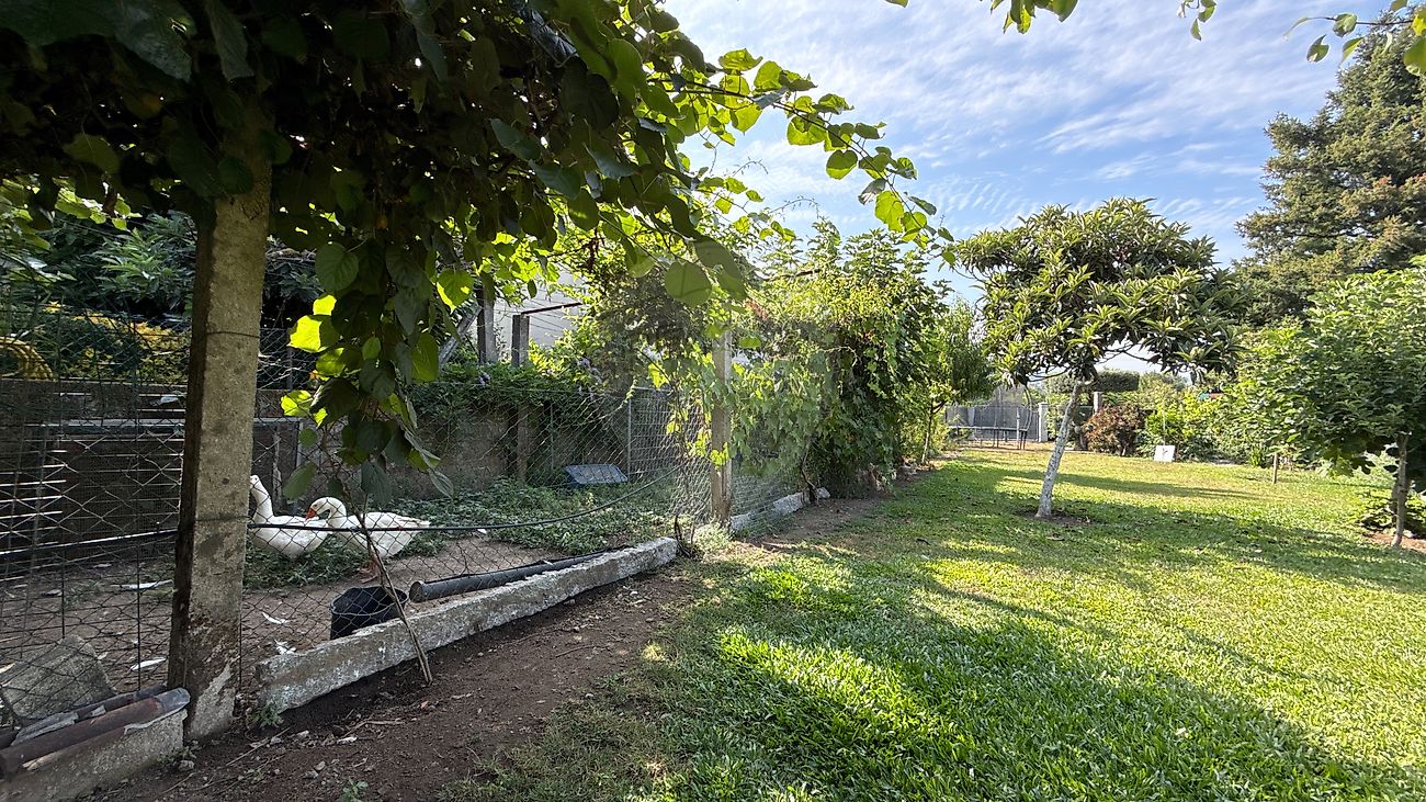 Moradia T6+ à venda em Arcos de Valdevez (Salvador), Vila Fonche e Parada, Arcos de Valdevez — foto 17