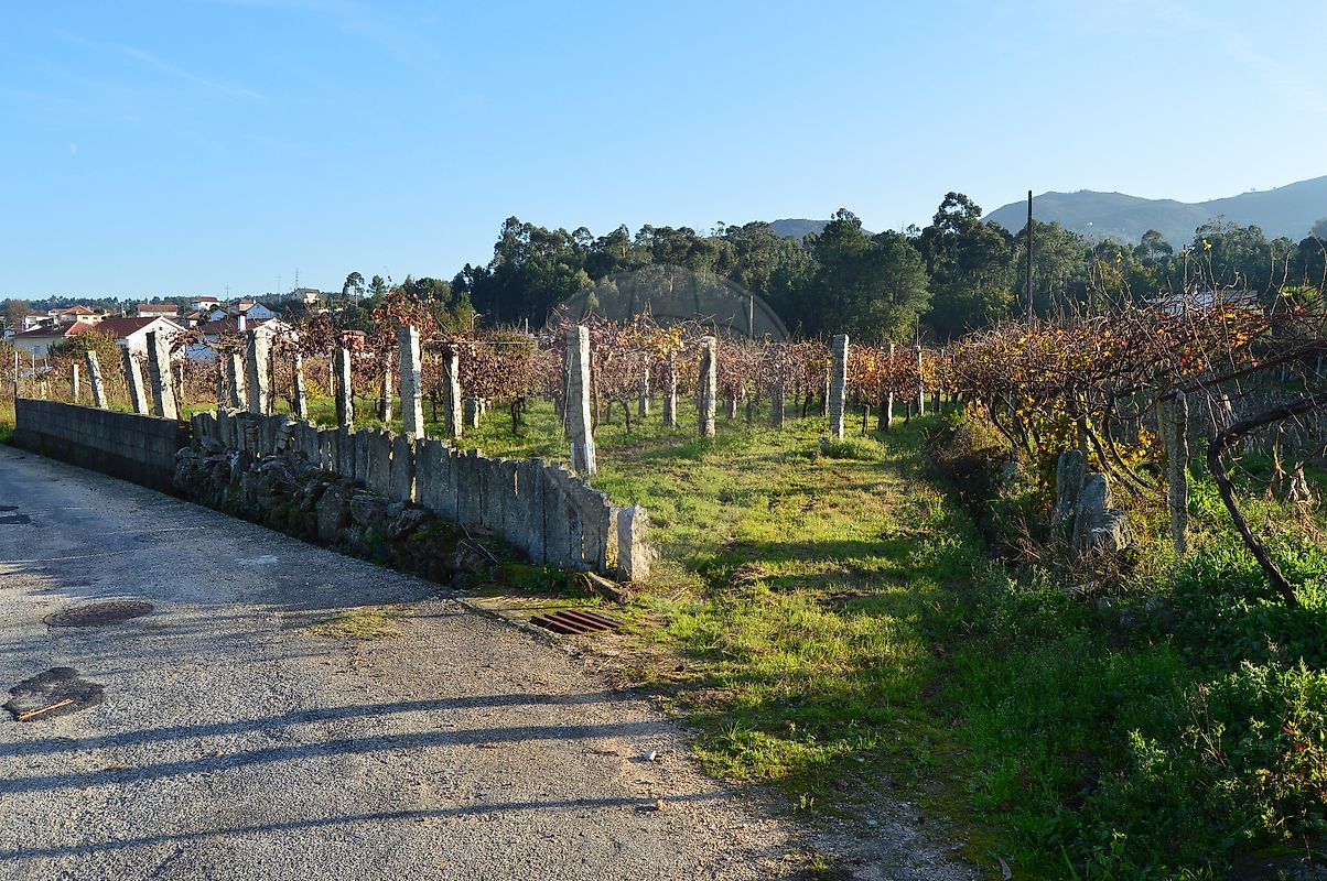 Terreno  para venda