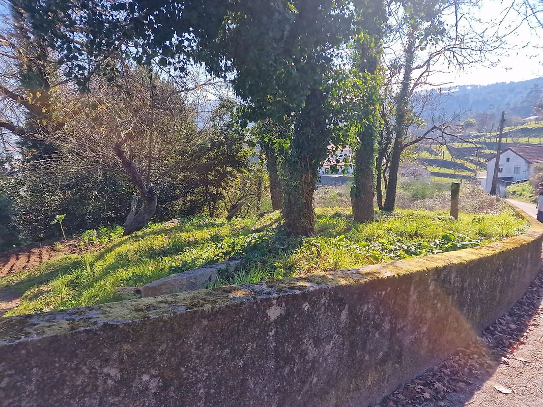 listing 126551018-4 picture-0