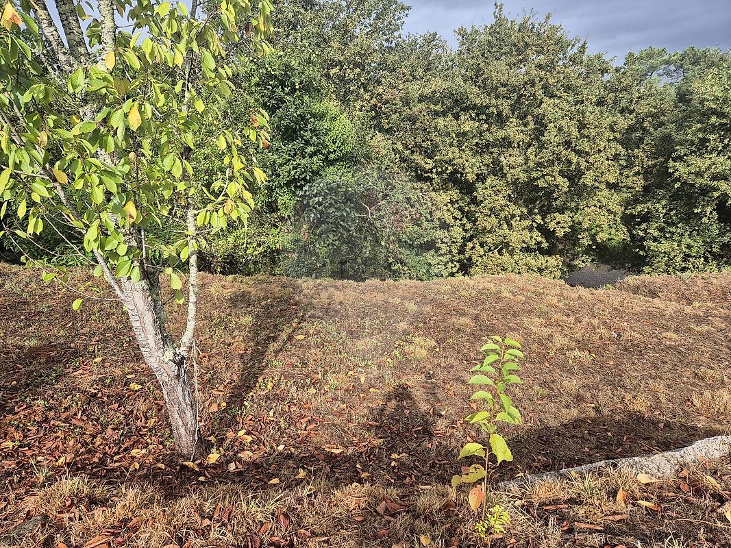 Moradia T1 à venda em Cerdal, Valença — foto 17