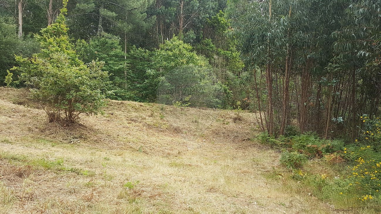 Terreno para venda