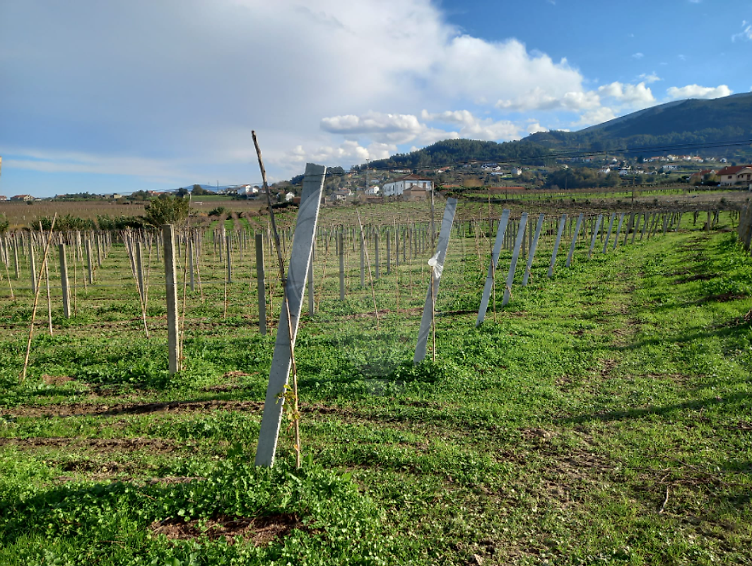 Terreno para venda