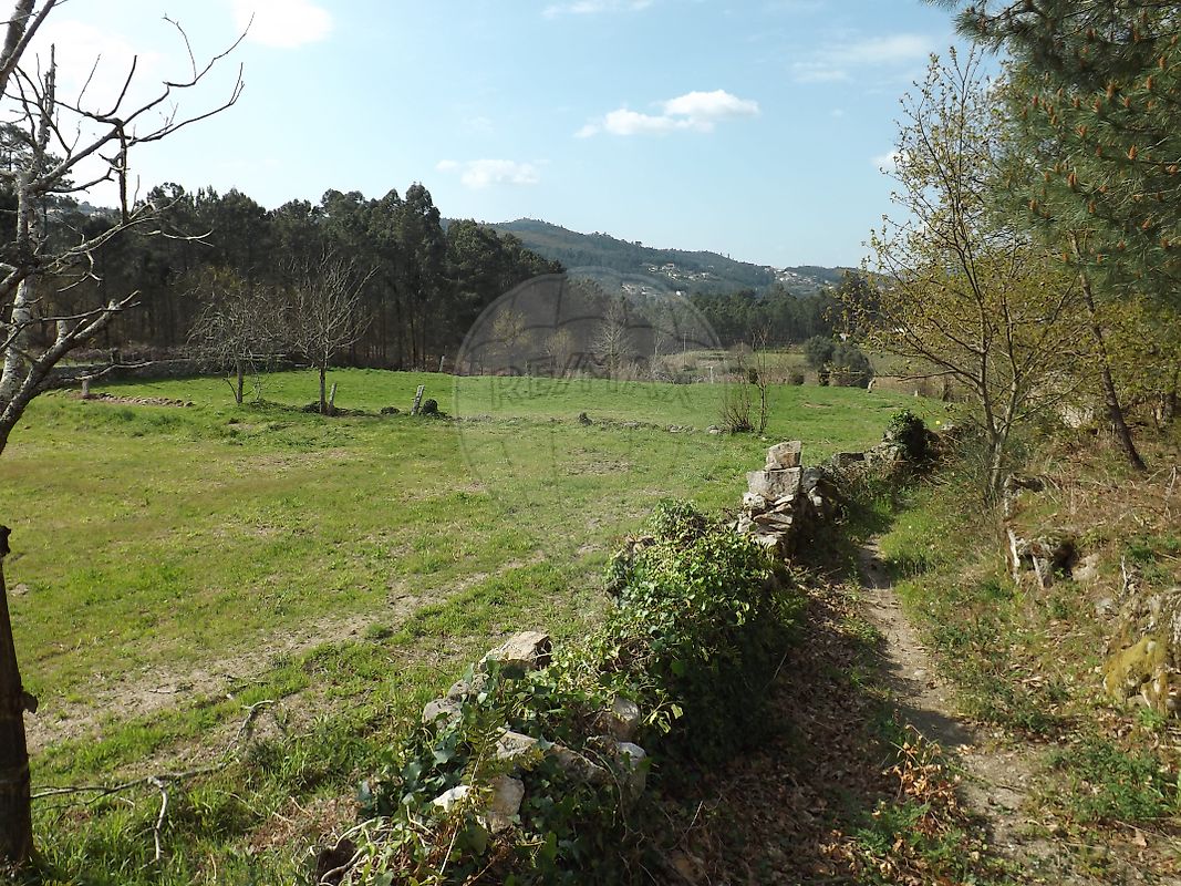 Terreno  para venda