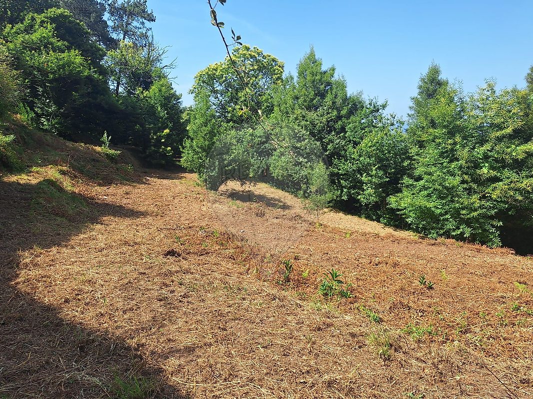 Terreno para venda
