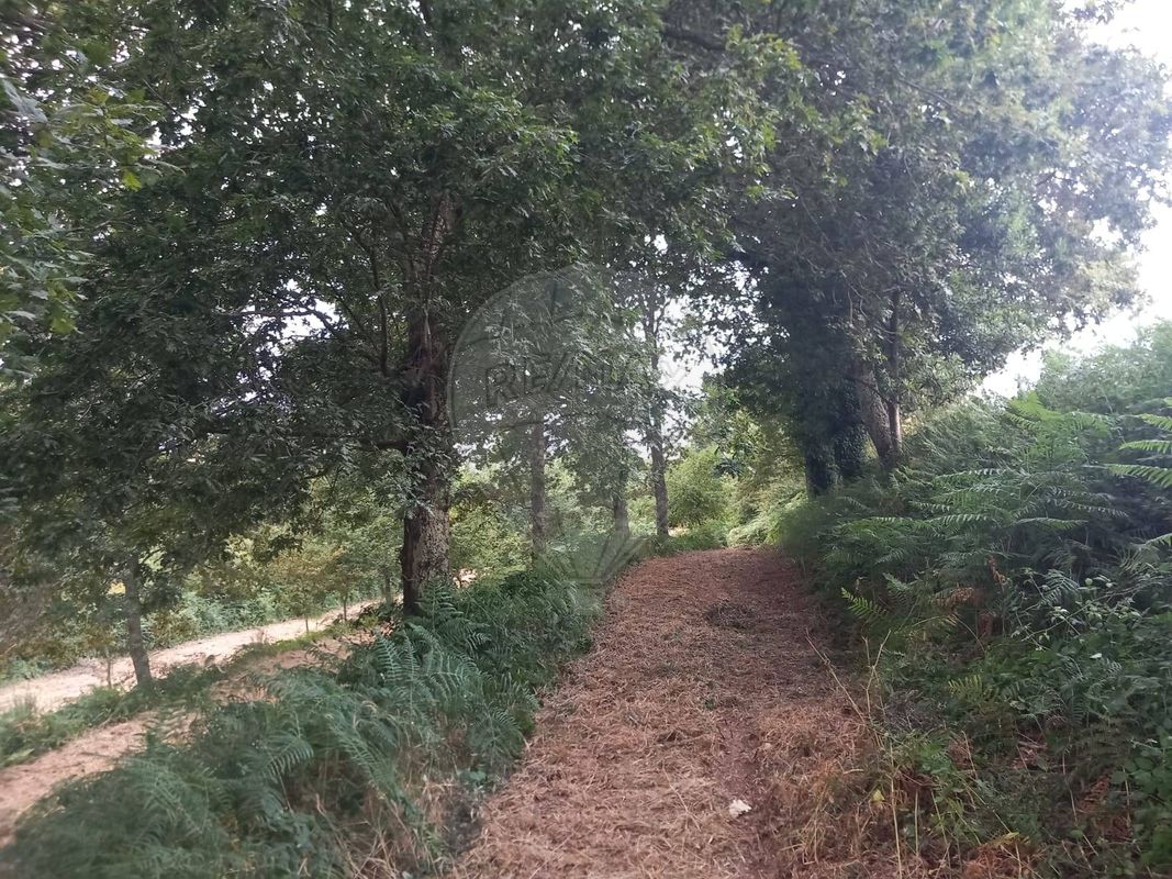 Terreno para venda