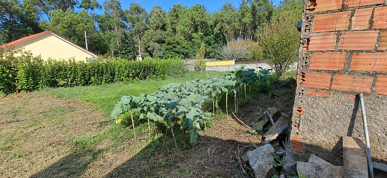 Moradia T3 à venda em Reboreda e Nogueira, Vila Nova de Cerveira — foto 10