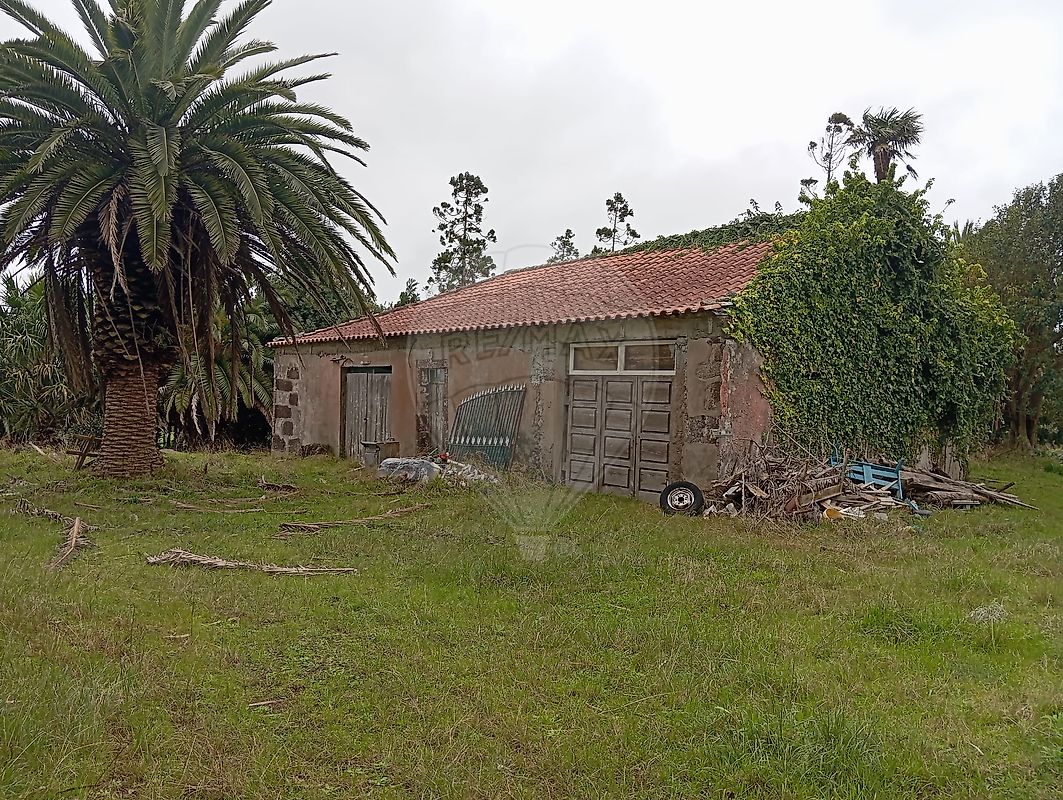 listing 126571003-126 picture-0