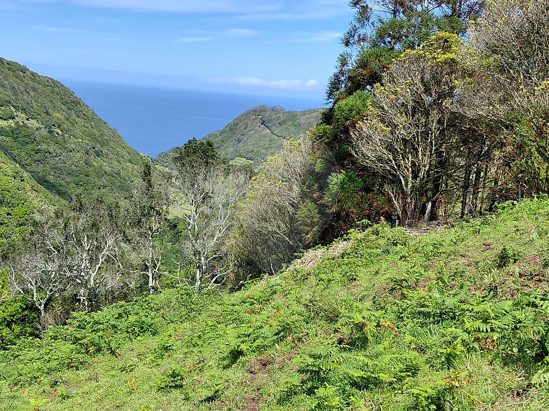 Terreno - Santa Bárbara, Vila do Porto, Ilha de Santa Maria