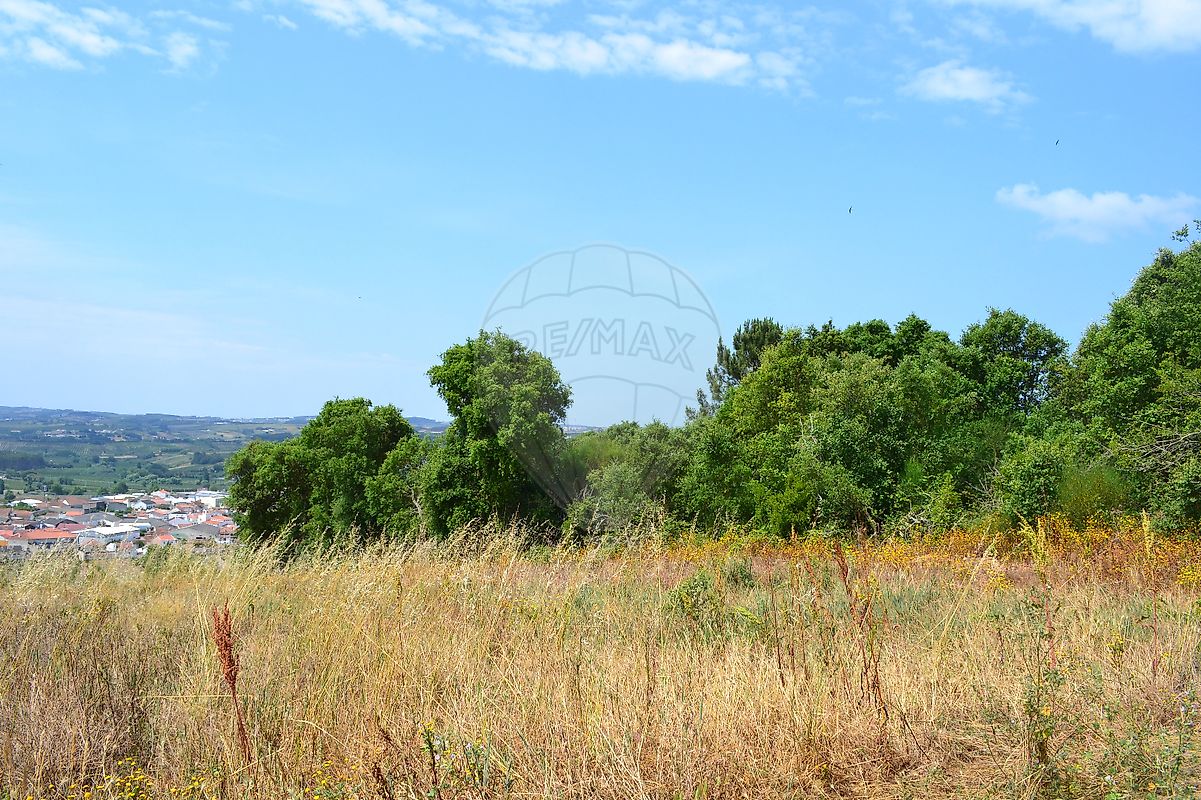 Terreno à venda em Bombarral