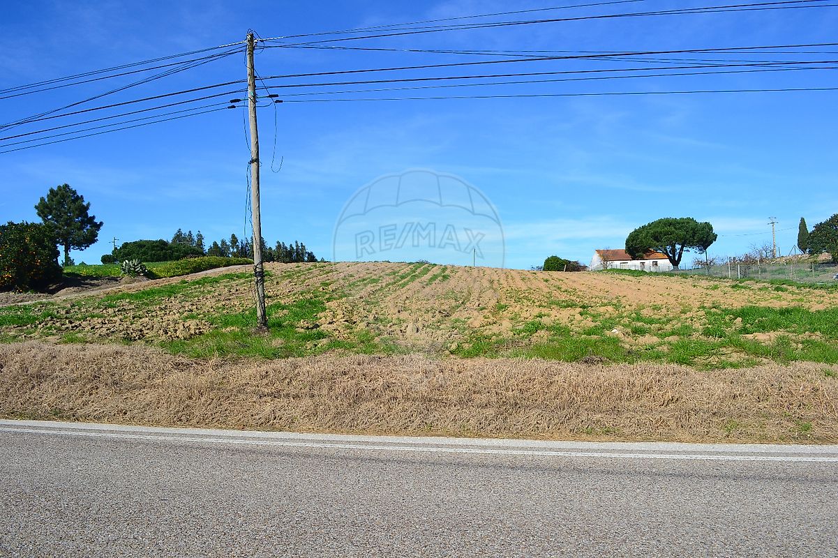 Land for sale in Bombarral, Portugal — €130,000