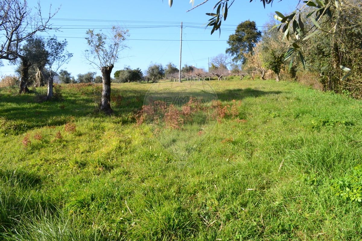 Terreno para venda