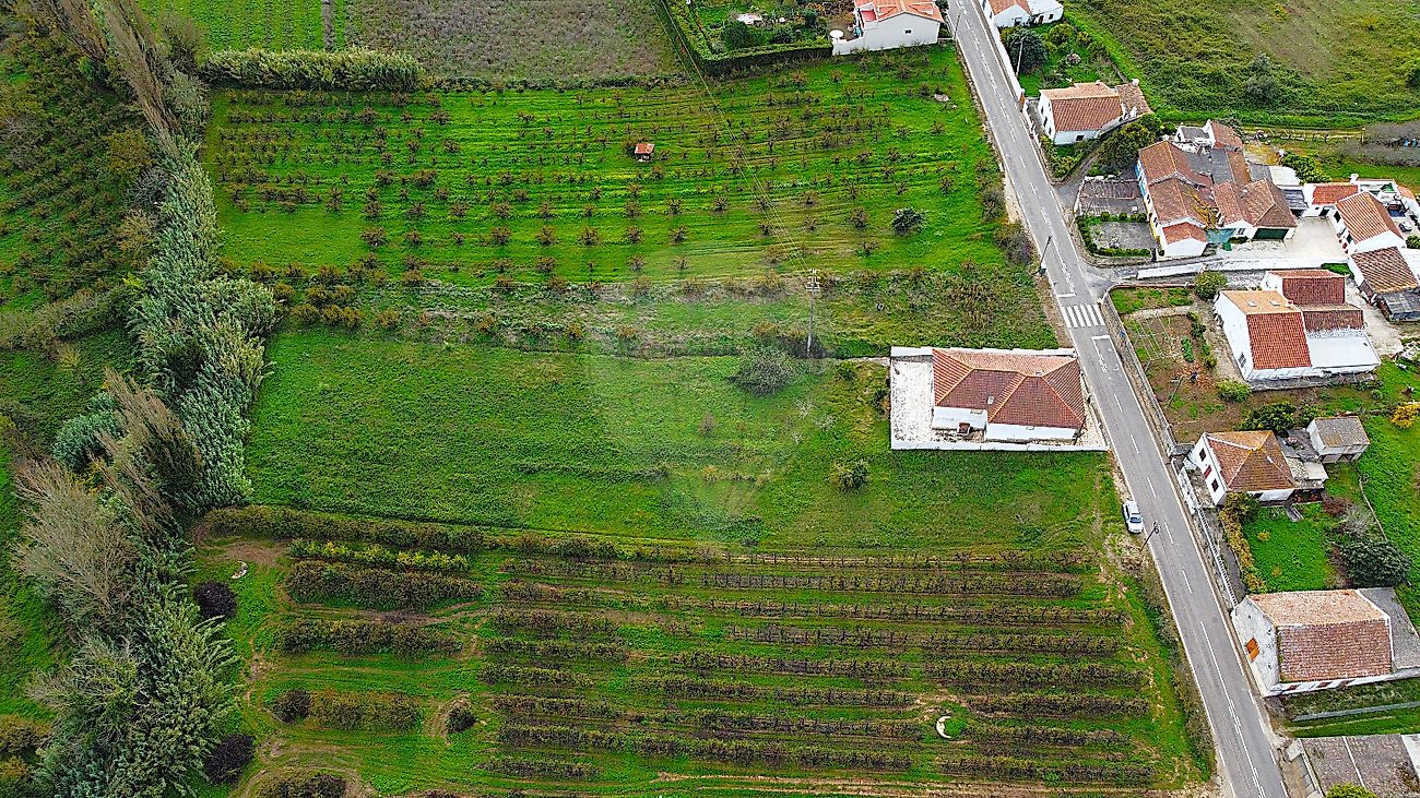 Terreno em Bombarral