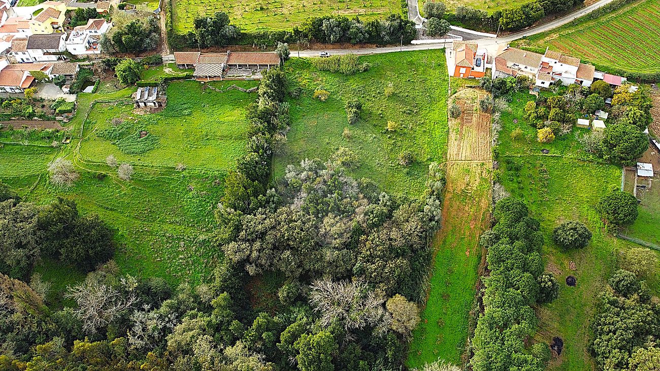 Terreno à venda em Bombarral