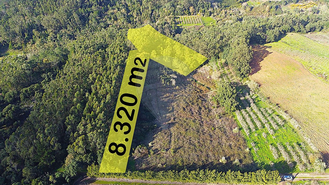 Terreno à venda em Bombarral