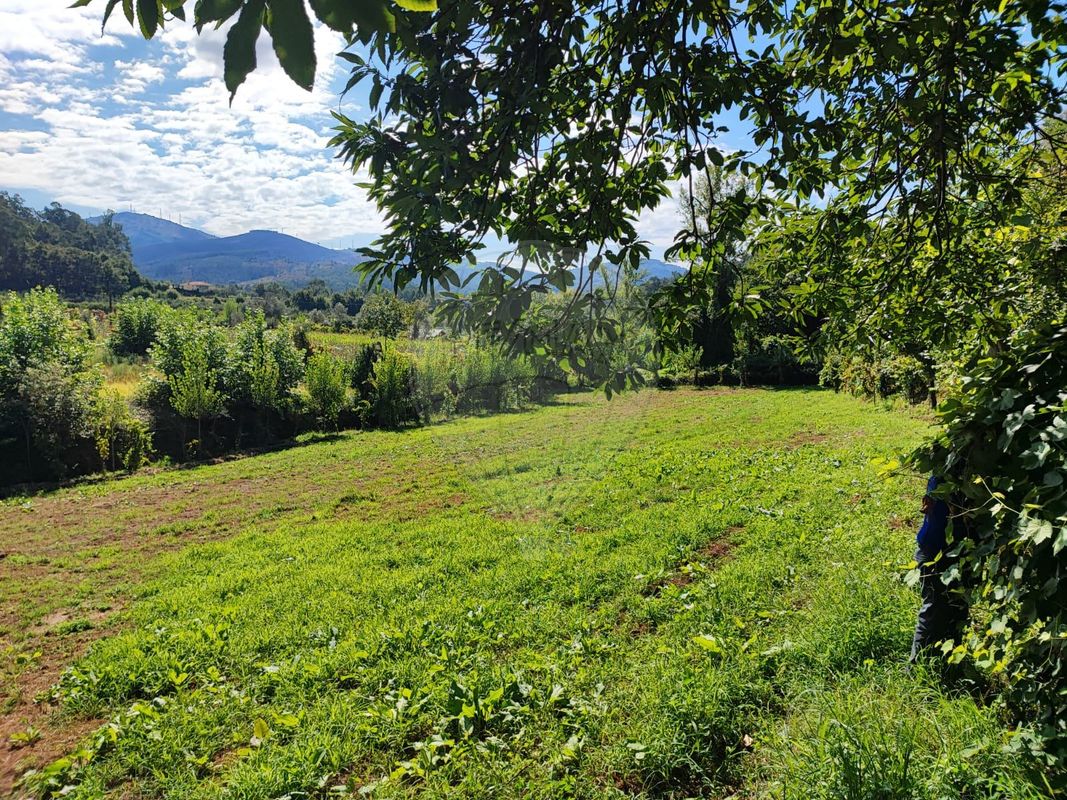 Terreno para venda