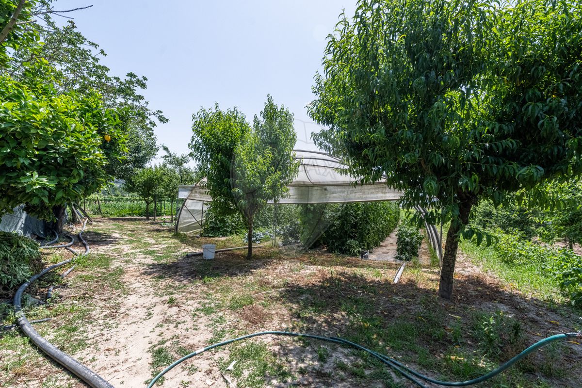 listing 126591004-80 picture-0