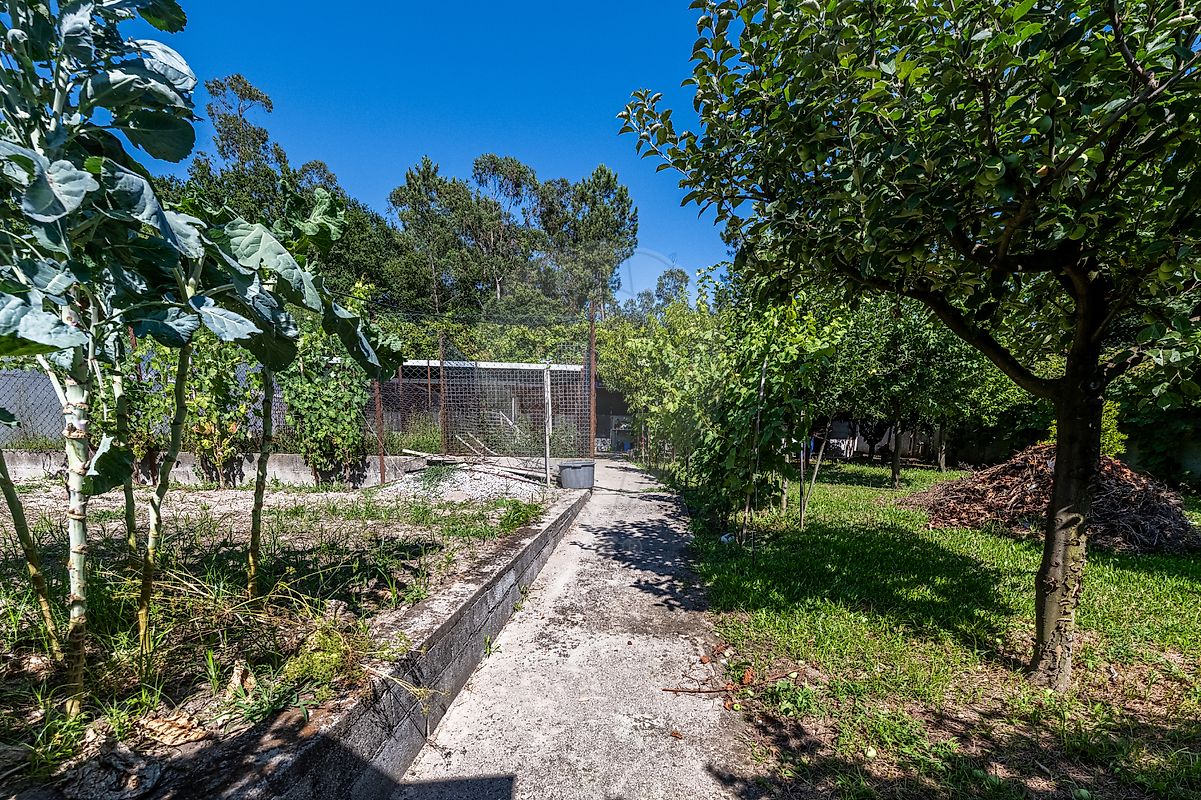 Moradia T6+ à venda em Ferreiros, Prozelo e Besteiros, Amares — foto 23