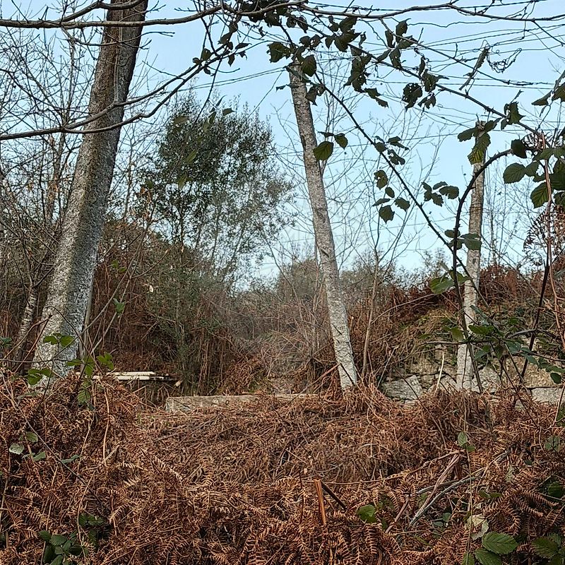 Terreno - Vilela, Seramil e Paredes Secas, Amares, Braga