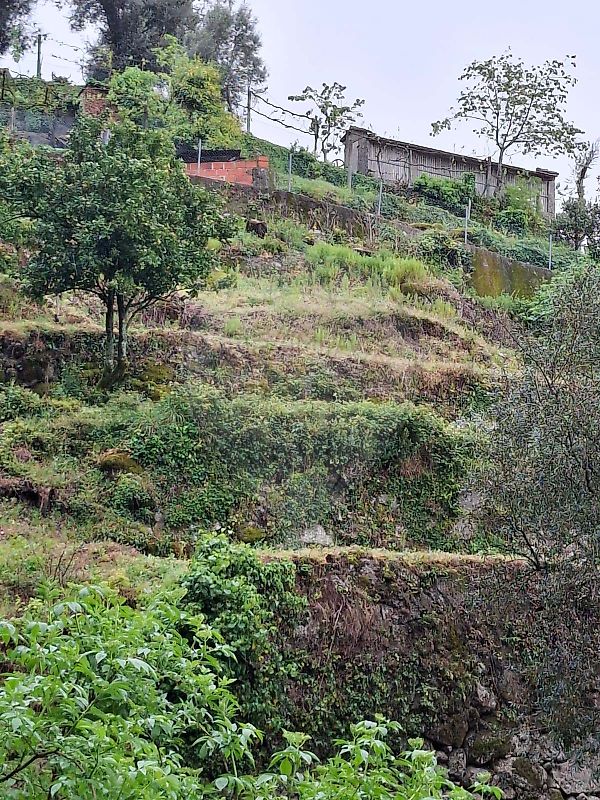 Terreno - Valdosende, Terras de Bouro, Braga