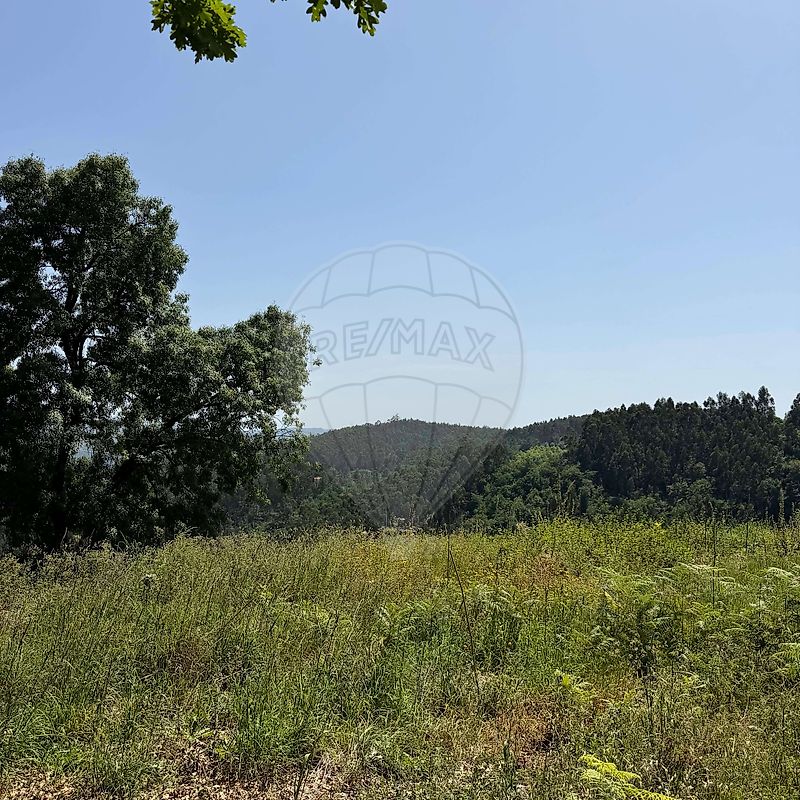 Terreno à venda em Amares