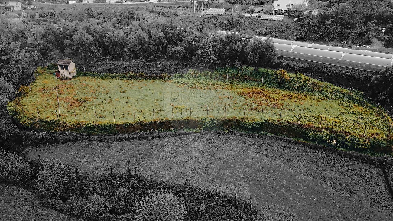 Terreno - Goães, Amares, Braga