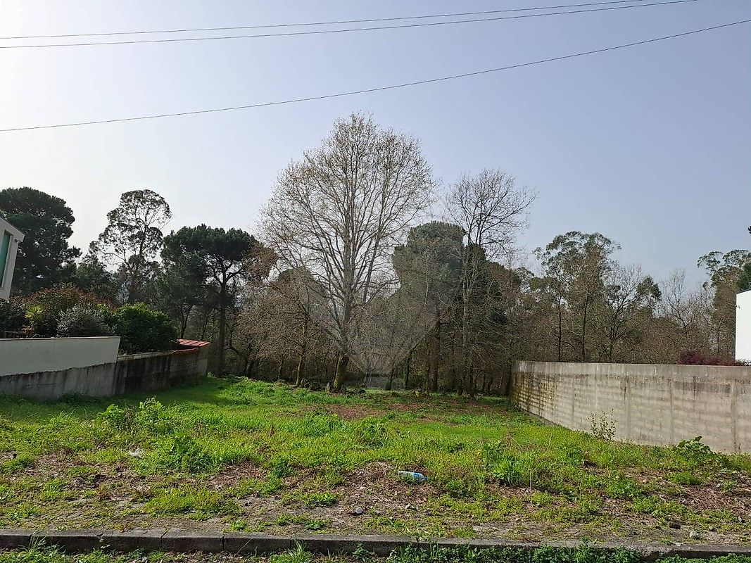 Terreno - Ferreiros, Prozelo e Besteiros, Amares, Braga