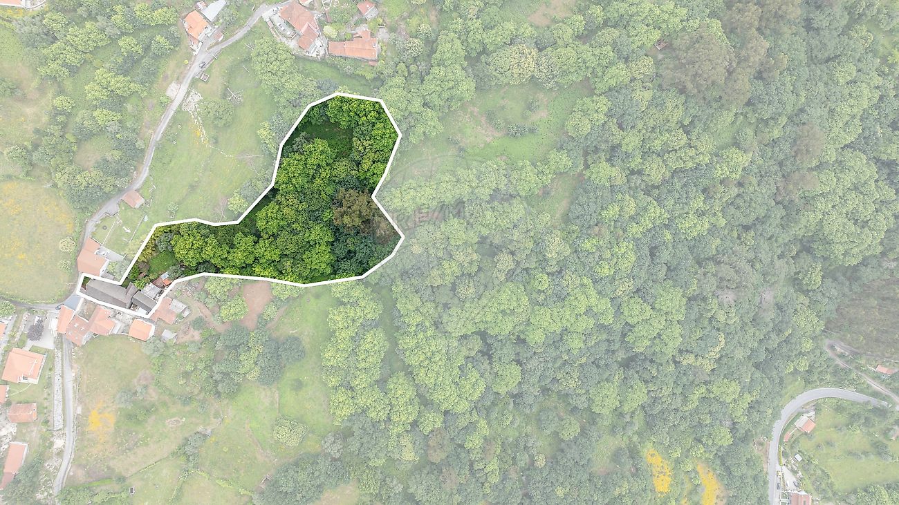 Moradia à venda em Vieira do Minho