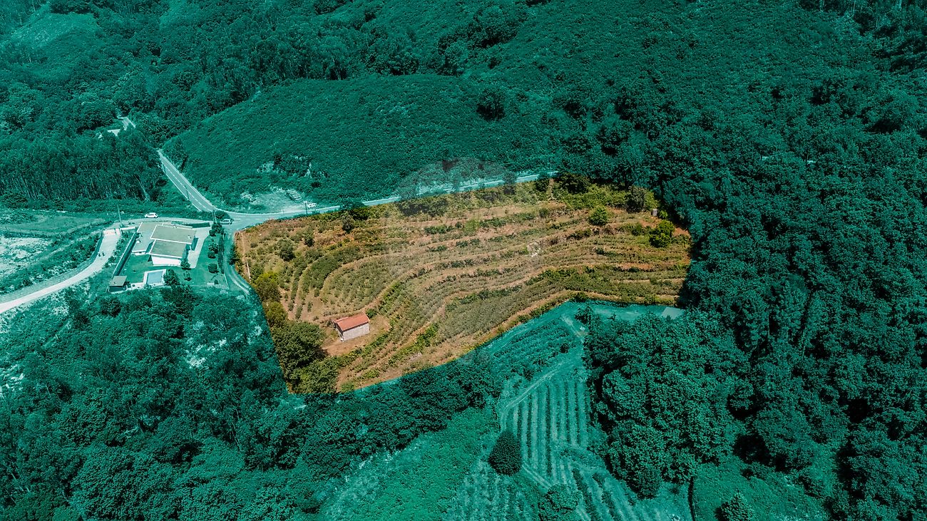 Terreno - Gondoriz, Terras de Bouro, Braga