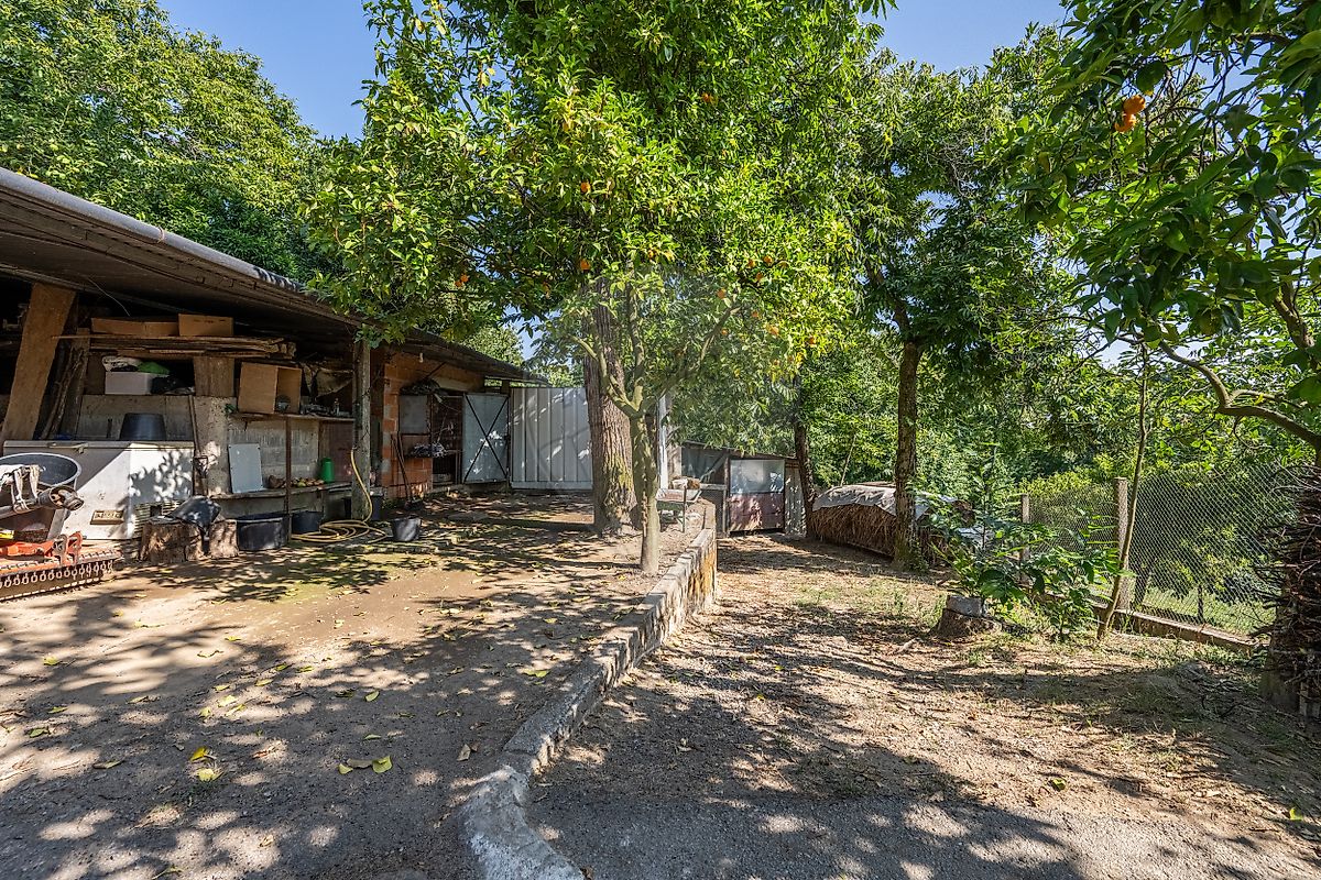 Moradia T4 à venda em Moure, Vila Verde — foto 40