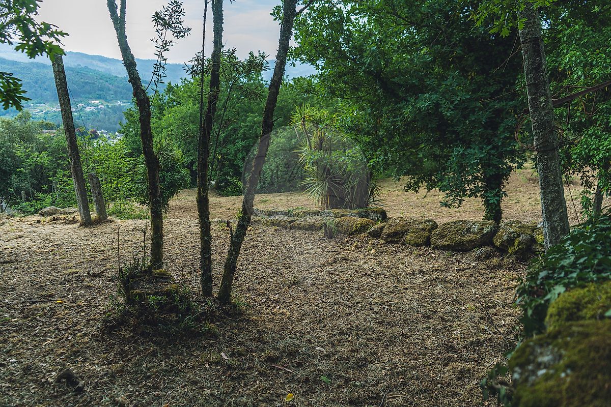 Moradia T0 à venda em Travassos, Póvoa de Lanhoso — foto 22