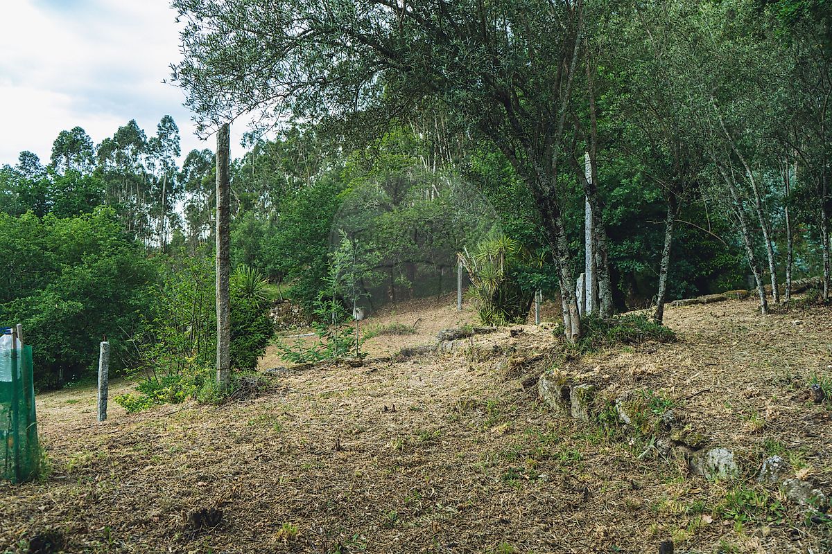 Moradia T0 à venda em Travassos, Póvoa de Lanhoso — foto 29