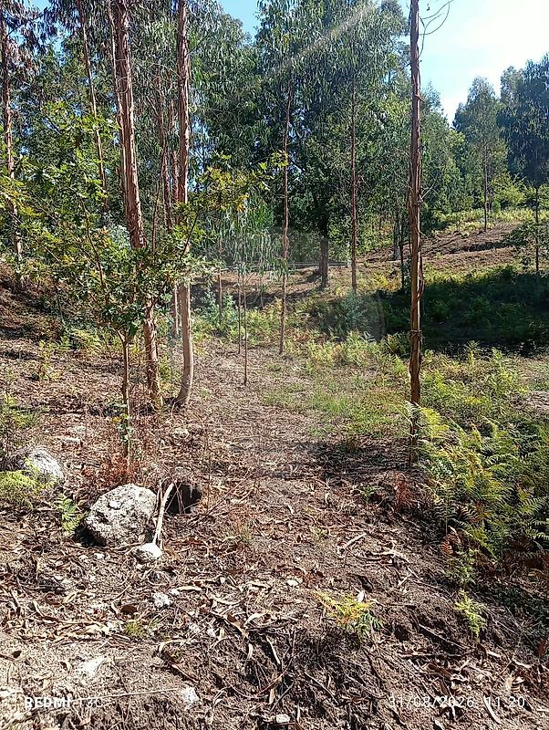 Apartamento à venda em Vieira do Minho