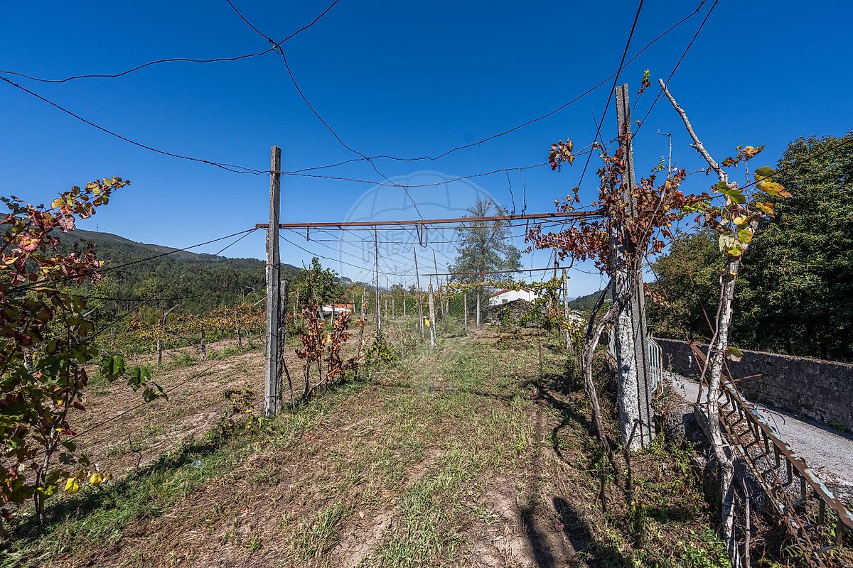 Moradia T0 à venda em Vade, Vila Verde — foto 14