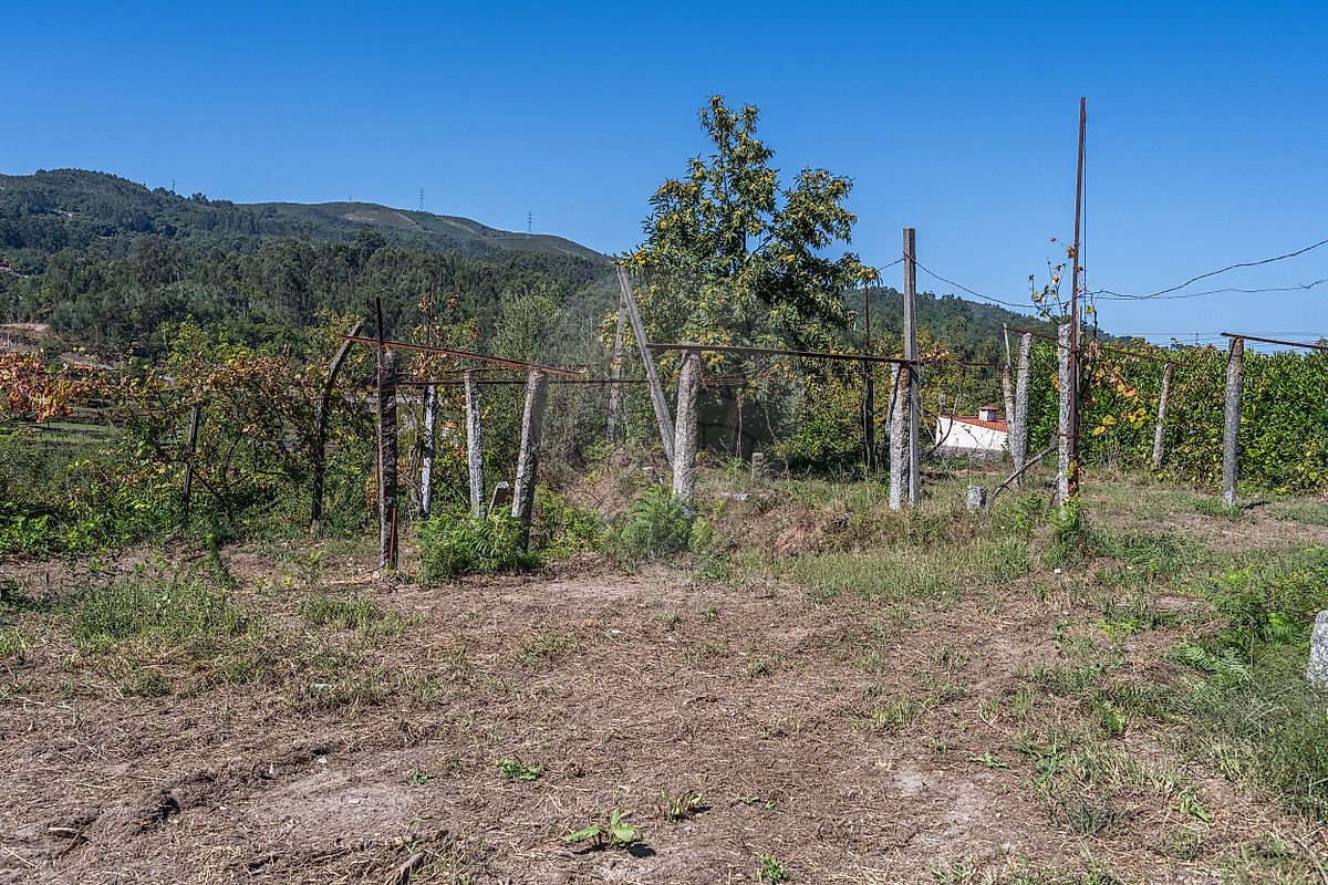 Moradia T0 à venda em Vade, Vila Verde — foto 16