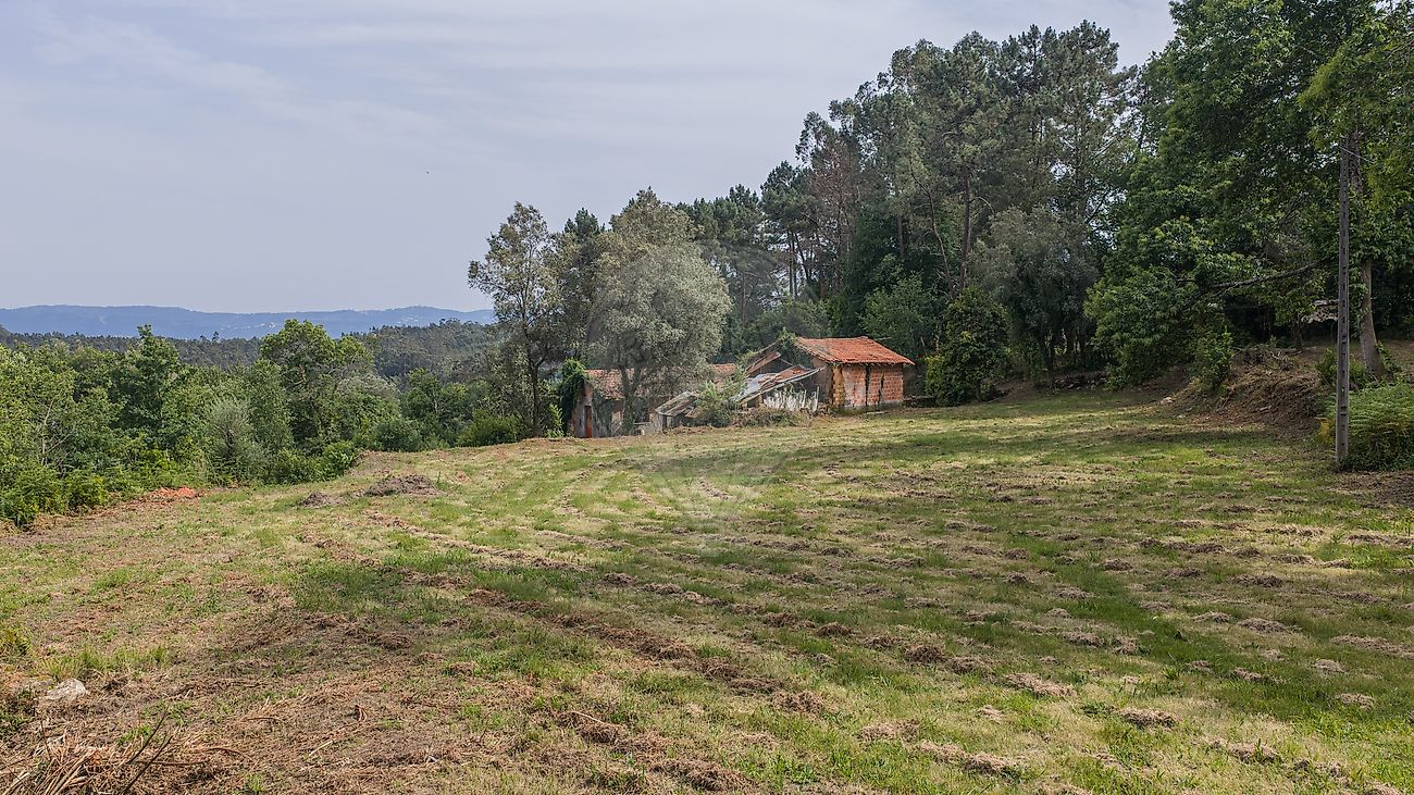 Moradia T0 à venda em Pico de Regalados, Gondiães e Mós, Vila Verde — foto 12