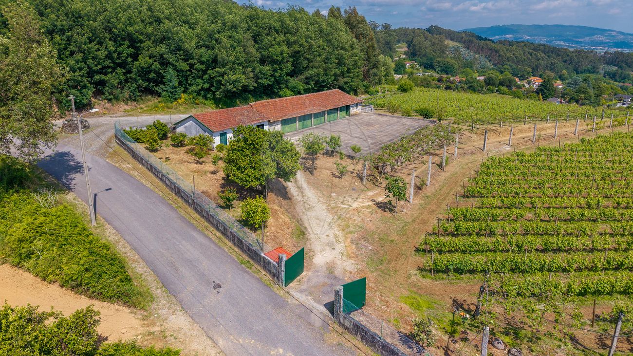 listing 126601030-13 picture-0