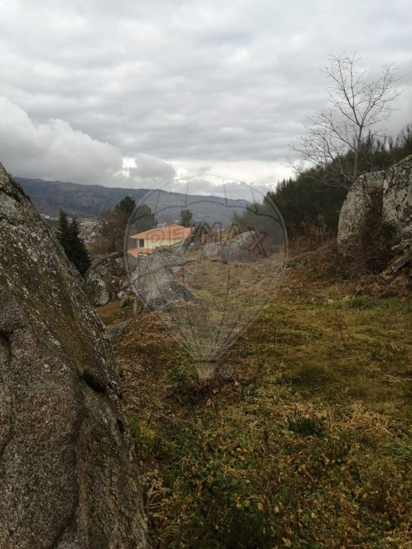 Terreno  para venda