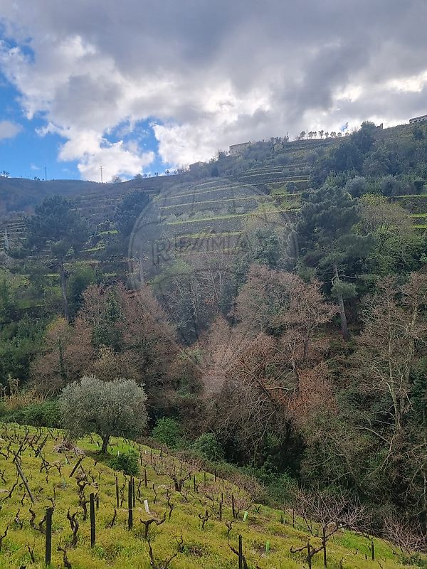 Terreno para venda