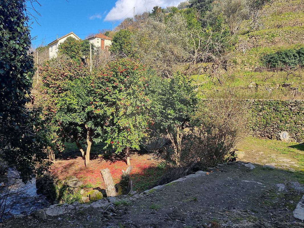 Terreno para venda
