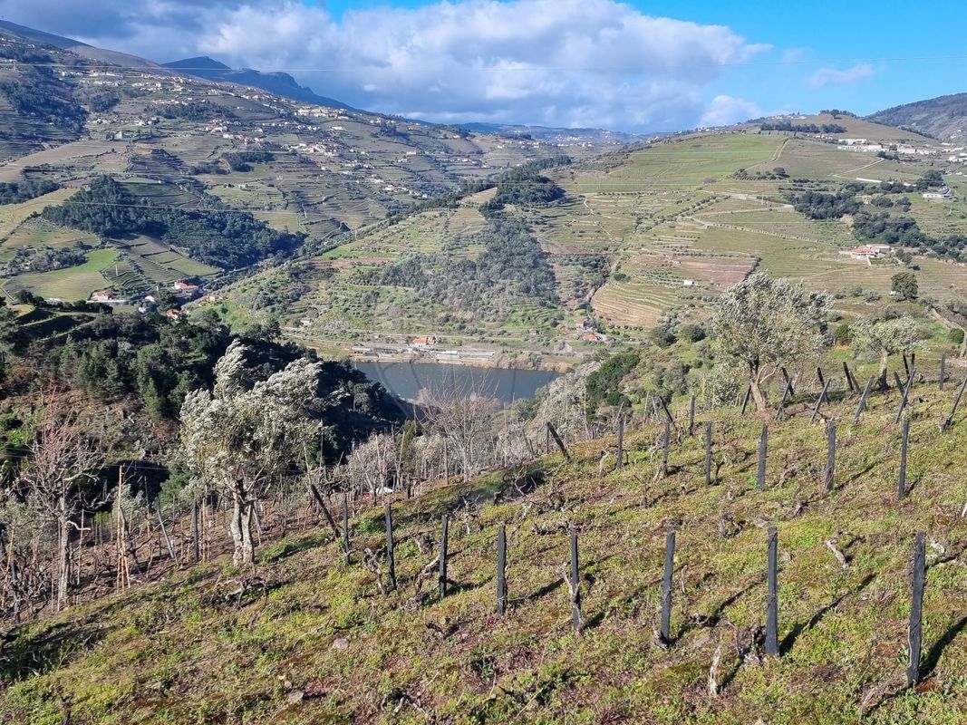Terreno para venda