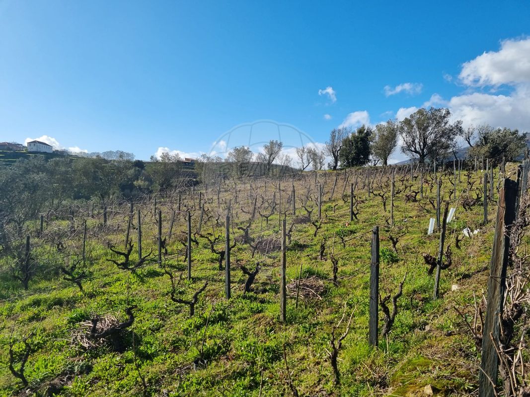Terreno para venda