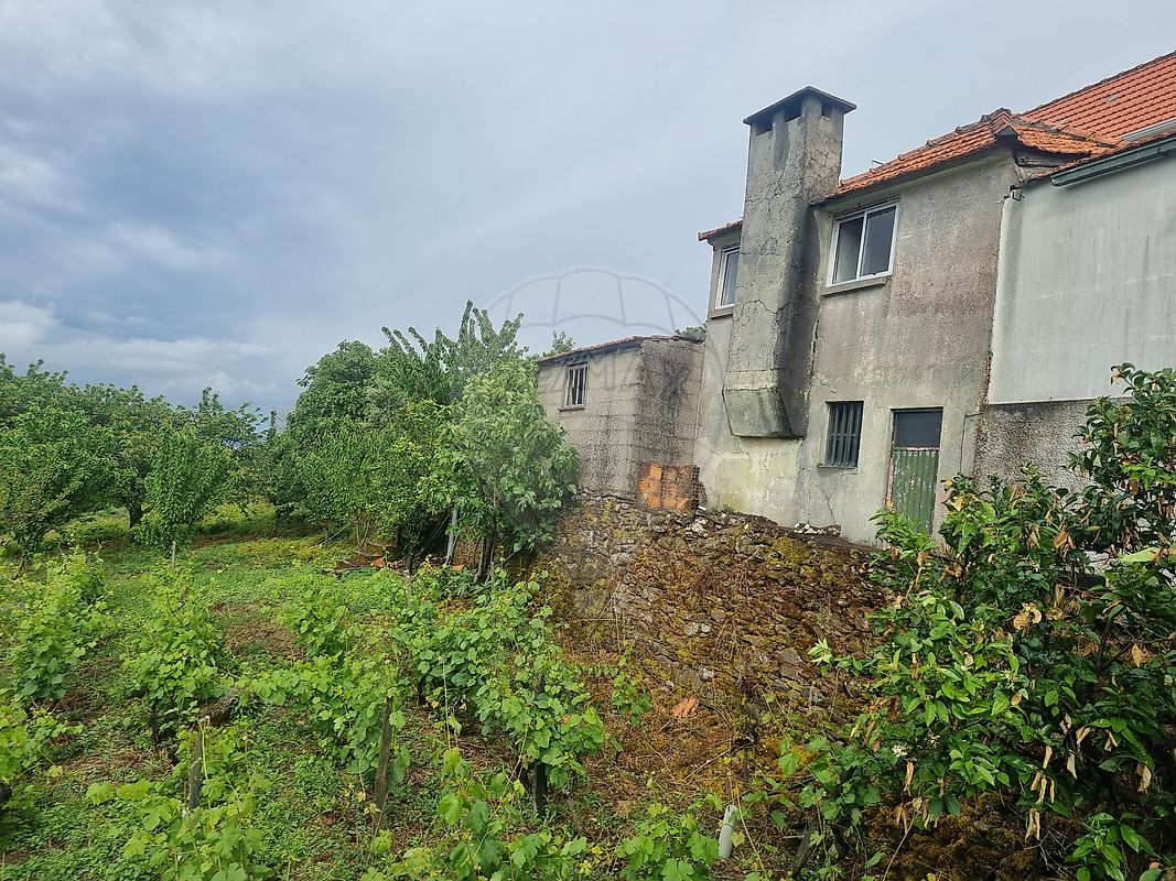 Moradia - Penajóia, Lamego, Viseu