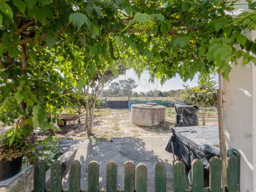 listing 126621083-3 picture-0