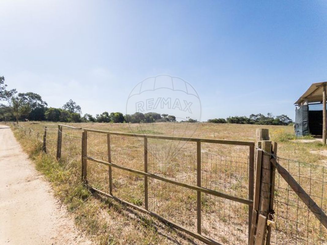 listing 126621083-3 picture-0