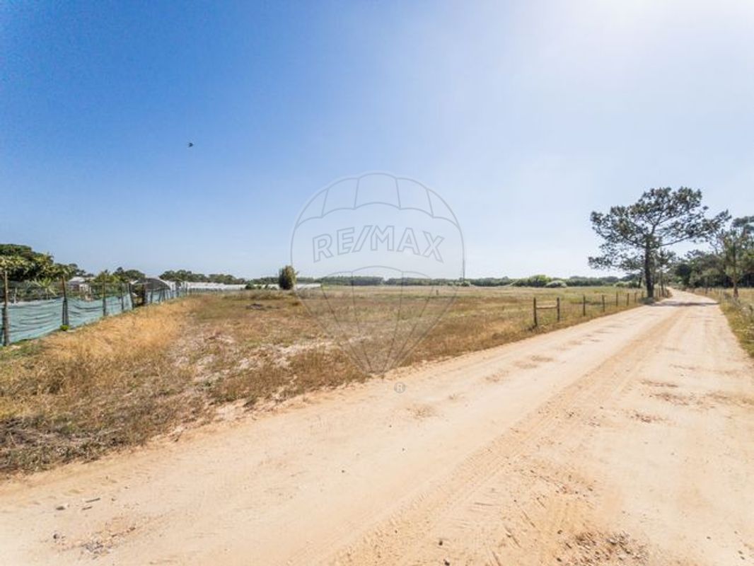 listing 126621083-3 picture-0