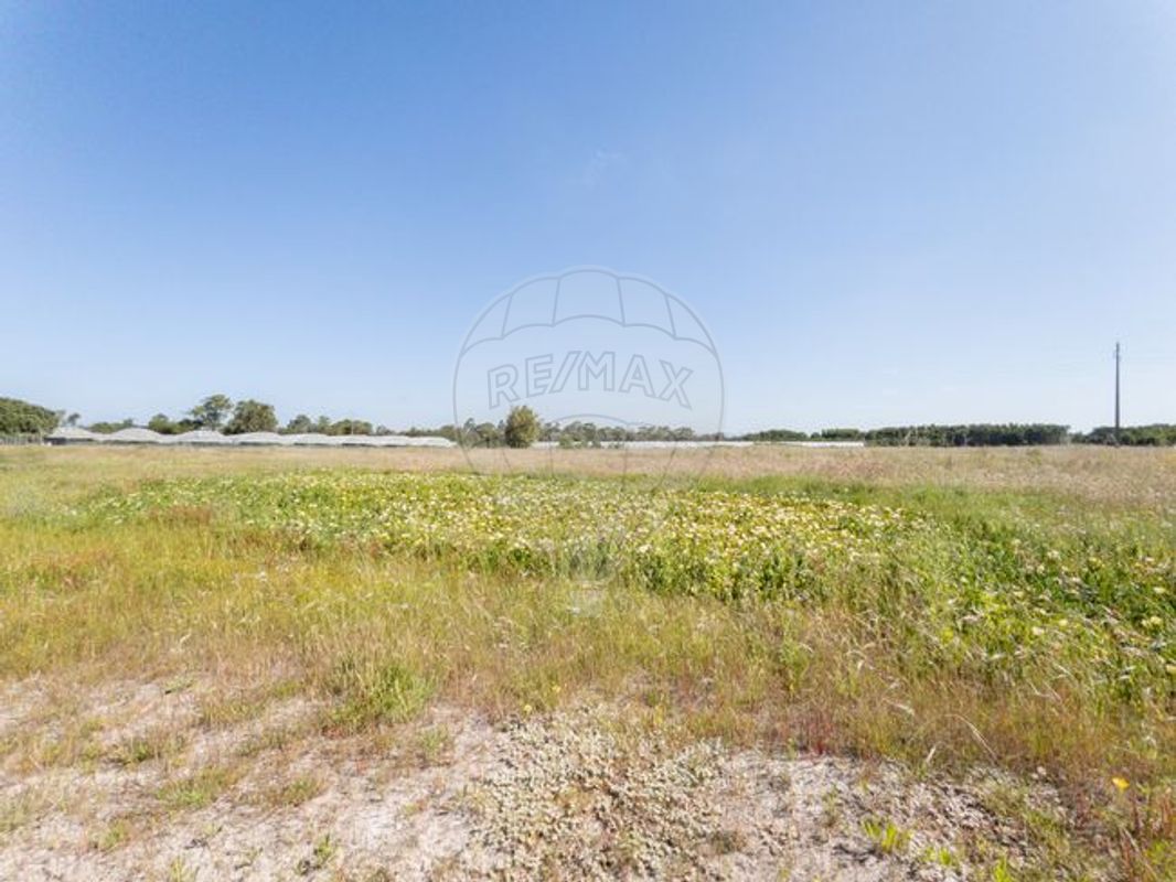 listing 126621083-3 picture-0