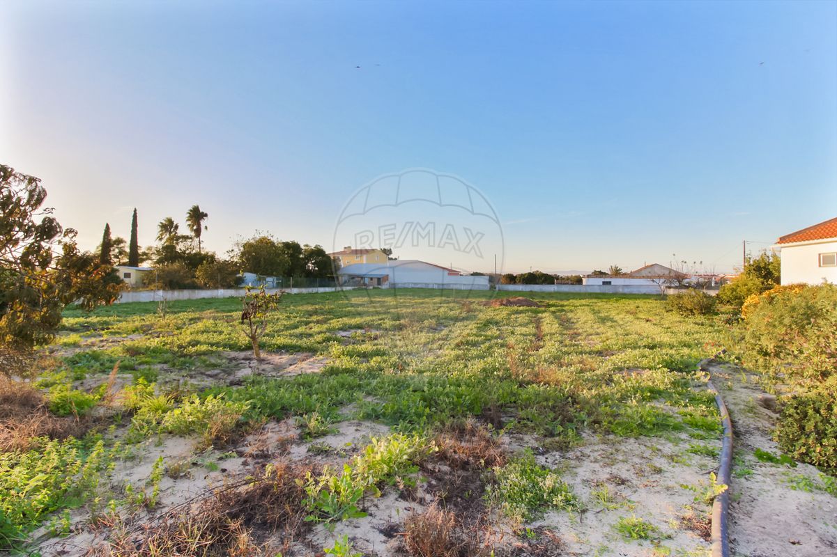 listing 126621006-188 picture-0